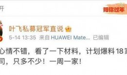 私募冠军叶飞最新爆料,揭秘私募界风云变幻