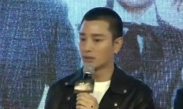 最新明星八卦大爆料最新,最新明星八卦大揭秘，独家爆料震惊众人